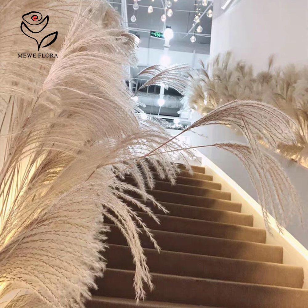 200PCS Natural Dried Fluffy Re - Luxury Lifestyle Items recension och pris