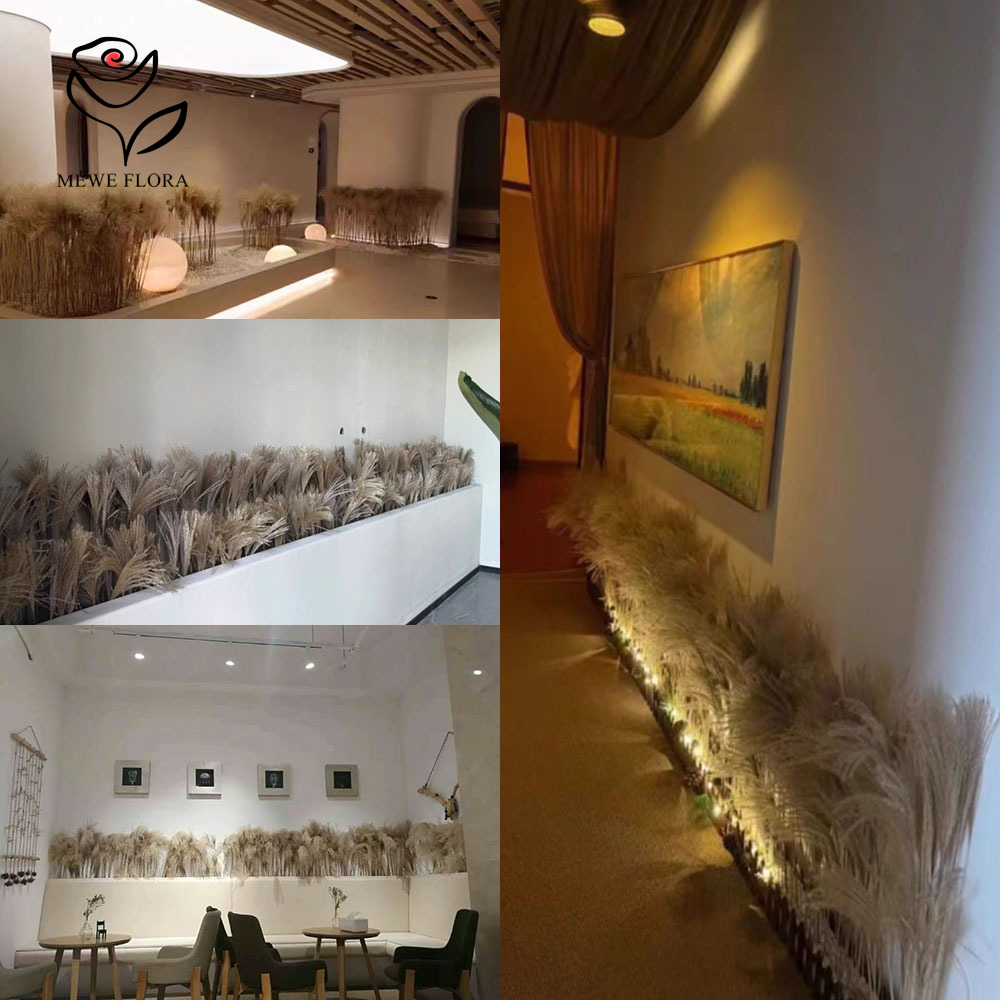 200PCS Natural Dried Fluffy Re - Luxury Lifestyle Items recension och pris